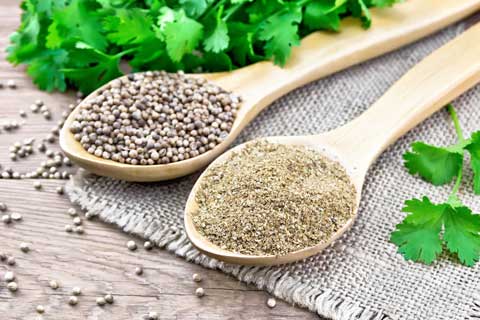 Coriander - Koriander -Corianderblätter Coriander Gewürz ganz & gemahlen