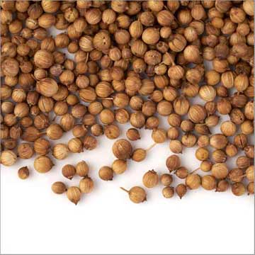 Coriander ganze Samen im Shop kaufen