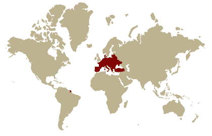 Herkunft des Oregano Gewürzkraut Herkunftsländer Oregano