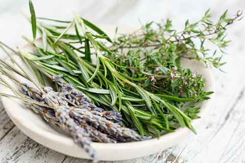 Herbes de Provence - Bild von gate74 auf Pixabay Herbes de Provence