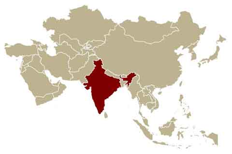 Indien - Herkunftsland von Kurkuma