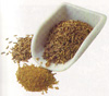 Kümmel Kümmel