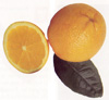 Orangen Orangen