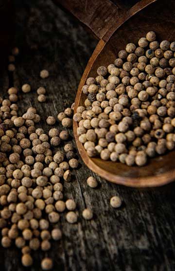 image by pexels.com Pfeffer Stilleben